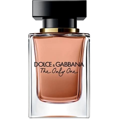 dolce gabbana the one 50ml eau de toilette|dolce gabbana the only one fragrantica.